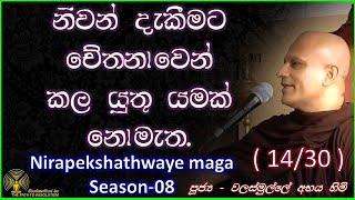 1431 - නිවන් දැකීමට චේතනාවෙන් කලයුතු යමක් නොමැත - Season 08