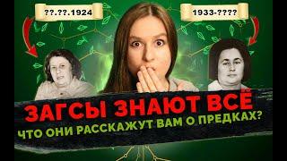 Кем были ваши предки из СССР  Родословное древо начинается с ЗАГСа  Генеалогия для начинающих