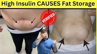 PROOF High Insulin causes Fat Storage graphic 2024