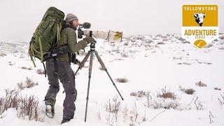 YELLOWSTONE  Wildlife Photography - Bison Elk and Moose - ep.2