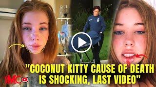Coconut Kitty Dead Her Cause of Death Leaves Fans Heartbroken Heres Her Last Video Alive