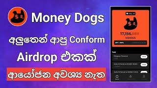 අලුතෙන් ආපු 100% Conform Airdrop එකක්  Money Dogs Airdrop  Telegram New Airdrop  Conform Airdrop