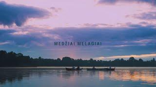 VELVET – MEDŽIAI MELAGIAI OFFICIAL VIDEO