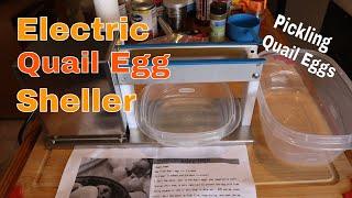 Electric Quail Egg Sheller  Pickled Quail Eggs