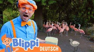 Blippi Deutsch - Blippi füttert die Tiere im Zoo  Abenteuer und Videos für Kinder