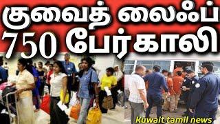 குவைத் லைஃப் காலி  750 பேர் சிக்கிய சோகம்  குவைத்திற்கு வேணாம்  Kuwait tamil news  gulf news
