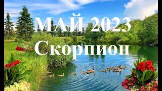 СКОРПИОН.  МАЙ  2023. ТАРО ПРОГНОЗ.  Татьяна Шаманова