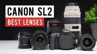 Canon SL2 200d Best Lenses