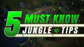 5 BEST JUNGLE TIPS FOR SEASON 11  League of Legends Jungle Strategies