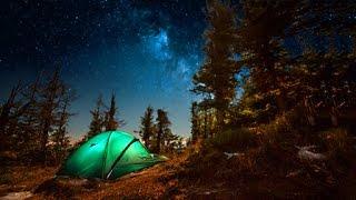 Campfire Sounds - Relaxing Forest and Nature Soundscape Camping Under the Stars