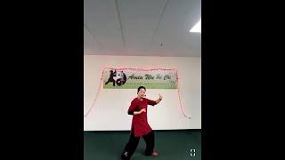 Sifu Amin Wu Explains Breathing Techniques  講解練太極拳時的呼吸要領