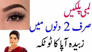 Beauty Tips For Girls  Palken Lambi Or Ghani Karne Ka Tarika  Totky In urdu By Zubaida apa