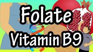 What Is Folate Vitamin B9 - Functions Benefits Of Foods High In Folate Vitamin B9