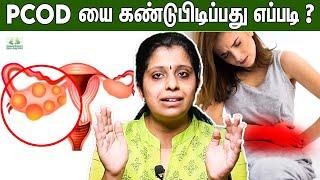 Pcod க்கான காரணம் என்ன ?  Dr Deepthi Jammi  Pcos Irregular Periods  Neer Katti Home Remedies