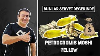 BUNLAR SERVET DEĞERİNDE Petrocromis Moshi Yellow #tanganyika #birbalikmasali #1 #akvaryum