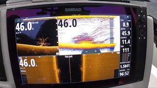 DOWN SCAN DO YOU REALLY NEED IT? Fish Finder-Down Imaging