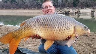 Carp Fishing in Spain - Catching Carp on the Ebro River - Guided Carp Fishing Trip