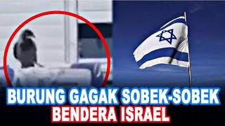 BURUNG GAGAK SOBEK-SOBEK BENDERA ISRAEL