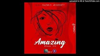 Black Sultan - Amazing Feat. 411 Society