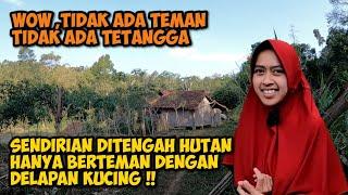 BIKIN MERINDING  GADIS CANTIK PILIH TINGGAL DI HUTAN ANGKER DEKAT KUBURAN