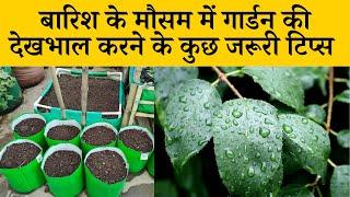 बारिश के मौसम में गार्डन की देखभाल करने के कुछ जरूरी टिप्स  Rainy Season Gardening Tips in Hindi