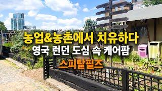 농업·농촌에서 치유하다 영국 런던 도심 속 케어팜  스피탈필즈