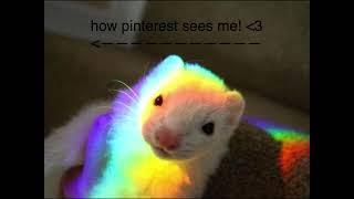 how pinterest sees mee 