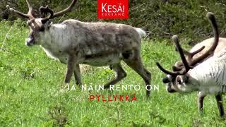 Ruka-Kuusamo – Pierusuolla kaasutellaan näin