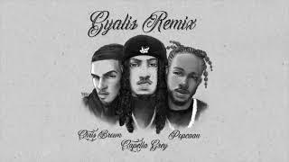 Capella Grey Chris Brown & Popcaan - Gyalis Remix