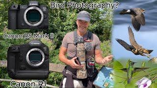 Canon R1 & Canon R5 Mark II Should You BuyUpgrade for Bird Photography? My Thoughts.