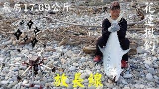 花蓮揪釣放長線釣大魚篇.飛扁大口逆鈎鰺連兩隻全紀錄Taiwan Hualien fishing