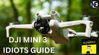 Fly Safe DJI Mini 3 - Essential Tips for Beginners Dont do what I did