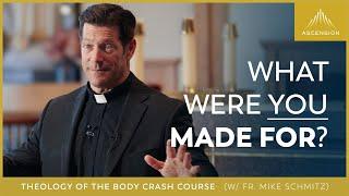 Theology of the Body Crash Course w Fr. Mike Schmitz — Session One From the Beginning