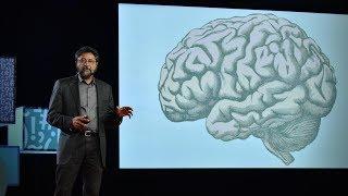 How your brain decides what is beautiful  Anjan Chatterjee