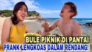 NGERJAIN BULE PAKE LENGKOAS DALEM RENDANG SAAT PIKNIK DI PANTAI SPANYOL YANG INDAH PARAAAHH 