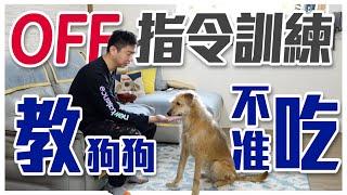 狗狗亂撿食好困擾！？OFF指令訓練！如何教狗不准吃 training Your Dog Not to  Eat｜@熊爸估狗dogtrainer