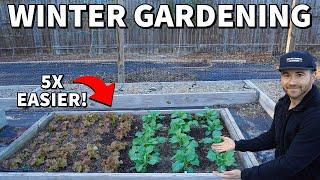 5 Reasons Why Winter Gardening Is BETTER Than Summer Gardening