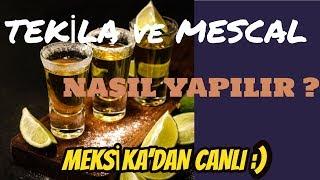 TEKİLA NASIL YAPILIR ?????