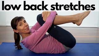 Physio Guided Lower Back Stretches for Beginners 15 Minute Routine