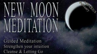 NEW MOON Meditation 2024 February Aquarius guided meditation • Intuition • Cleanse • Recharge