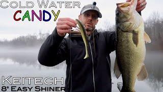 Cold Water Candy  Winter bass fishing with the Keitech 8 Easy Shiner.