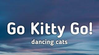Dancing Cats - Go Kitty Go Lyrics go kitty go kitty go kitty go tiktok