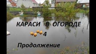 Караси в огороде 4. Светодиодная кормушка. Контрольный вылов рыбы.