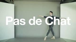 Ballet Bytes Pas de Chat  The National Ballet of Canada