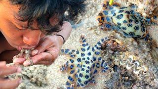 Nekat makan GURITA CINCIN BIRU? hewan laut paling beracun kalahkan Ular Cobra _ Hunting Octopus