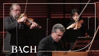 Bach - Harpsichord concerto in F minor BWV 1056 - Henstra  Netherlands Bach Society