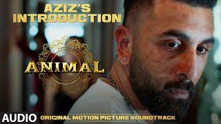 ANIMAL BGM AZIZS INTRODUCTION  Harshavardhan R  Ranbir K Sandeep V Bhushan K