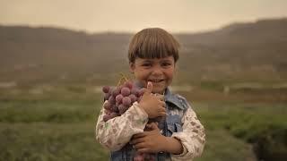 عنب اليمن Yemeni Grapes