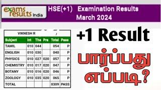 How to Check +1 Results 2024  TN Board Results Check  TN Results