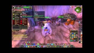 World of Warcraft Cataclysm Guardians of Hyjal Reputations Loot